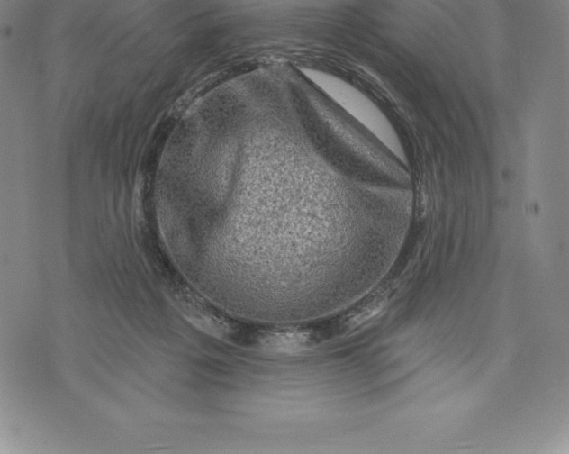 X0000076300217200610161602