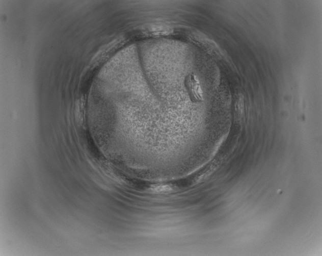 X0000076300218200610161602