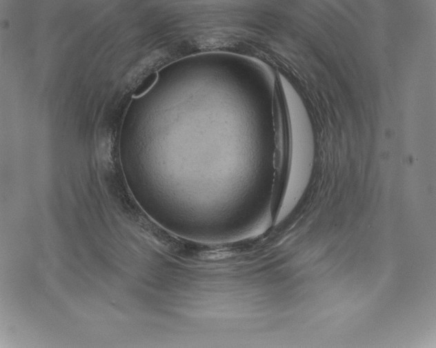 X0000076300219200610161602