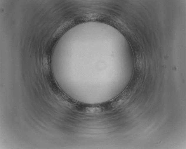 X0000076300220200610161602