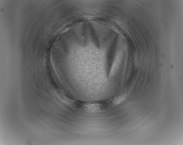 X0000076300221200610161602