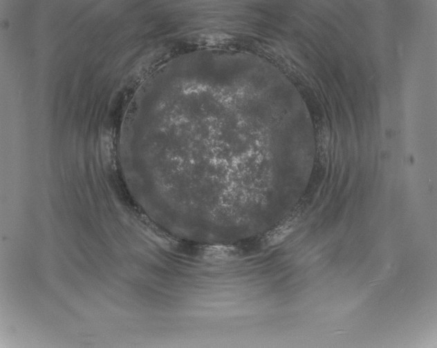 X0000076300222200610161601