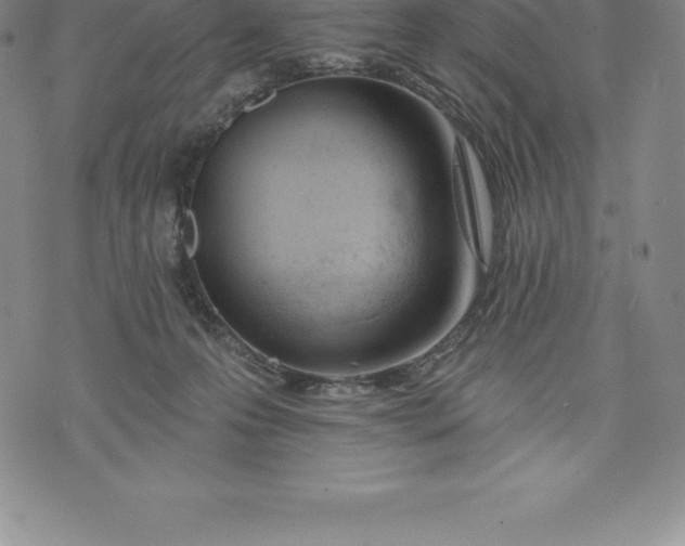 X0000076300223200610161601