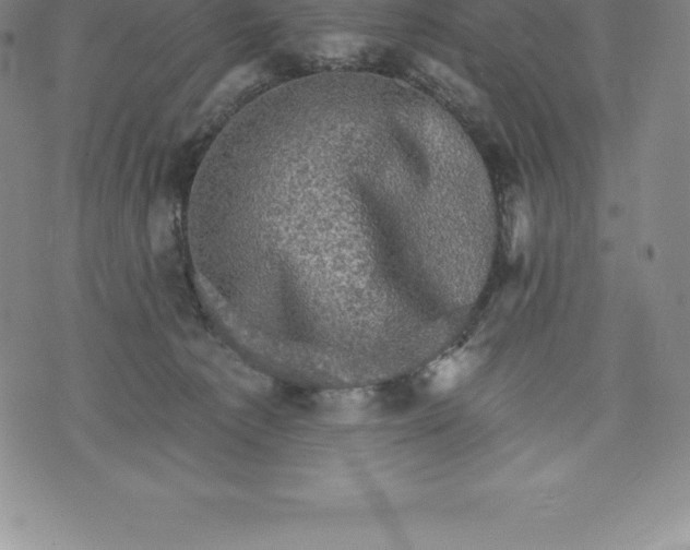 X0000076300225200610161601