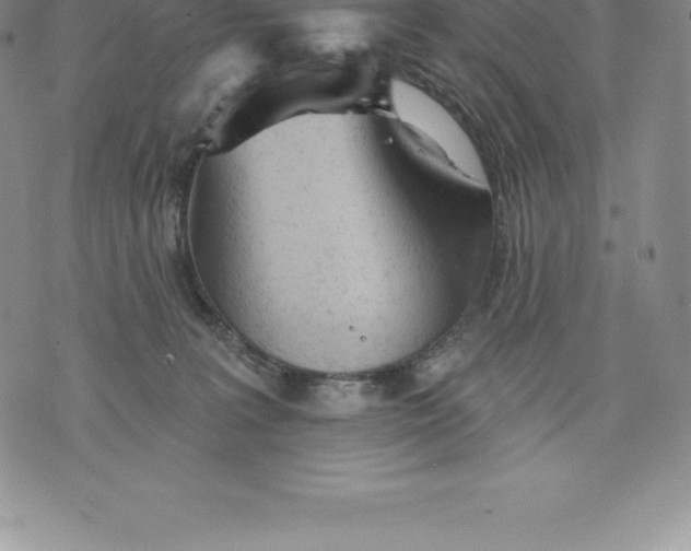 X0000076300227200610161601