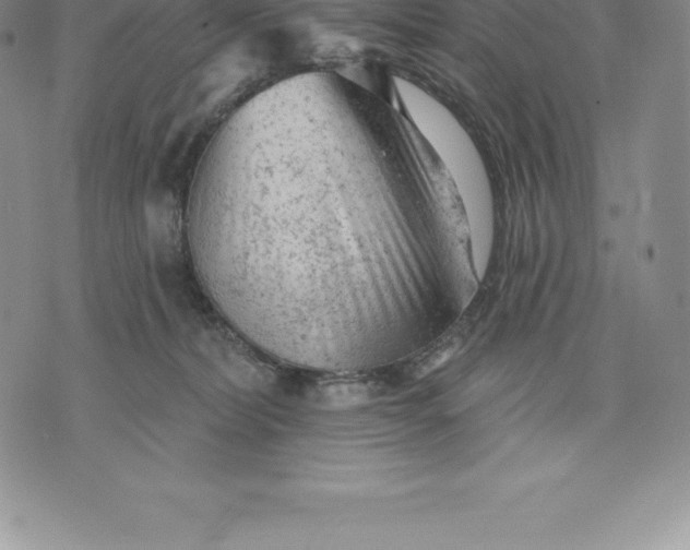 X0000076300228200610161601