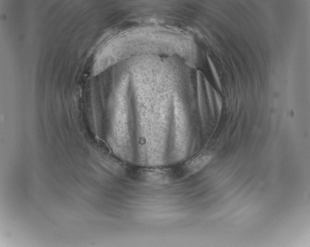 X0000076300229200610161601