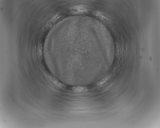 X0000076300230200610161601