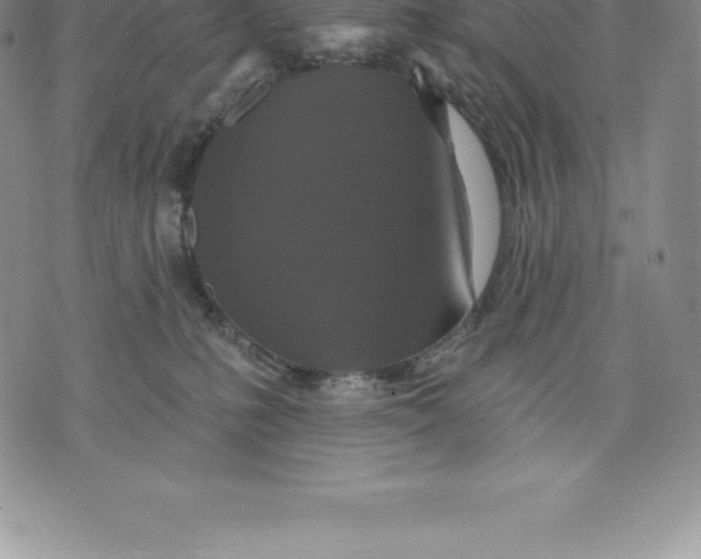 X0000076300231200610161601