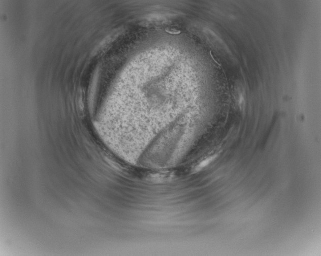 X0000076300232200610161601