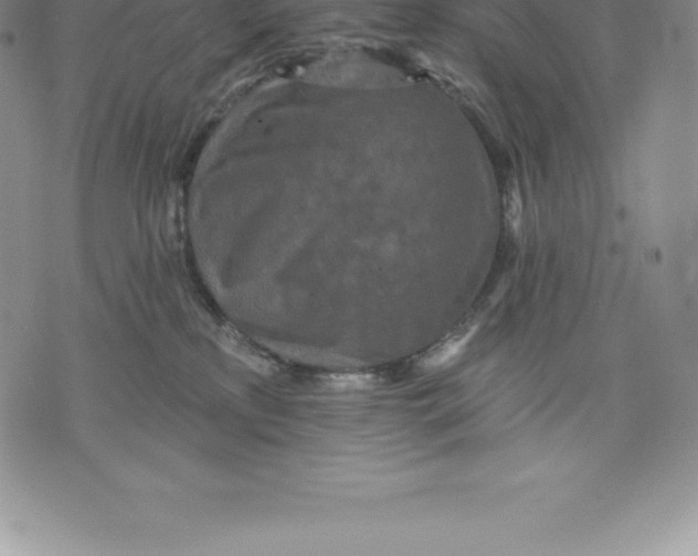 X0000076300233200610161601