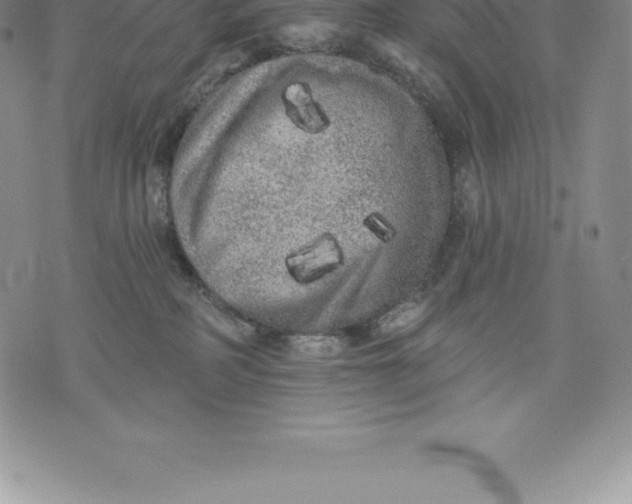 X0000076300234200610161601