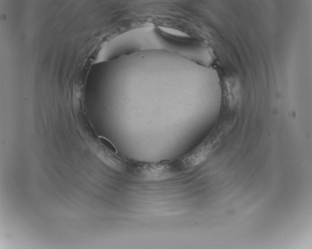 X0000076300235200610161601