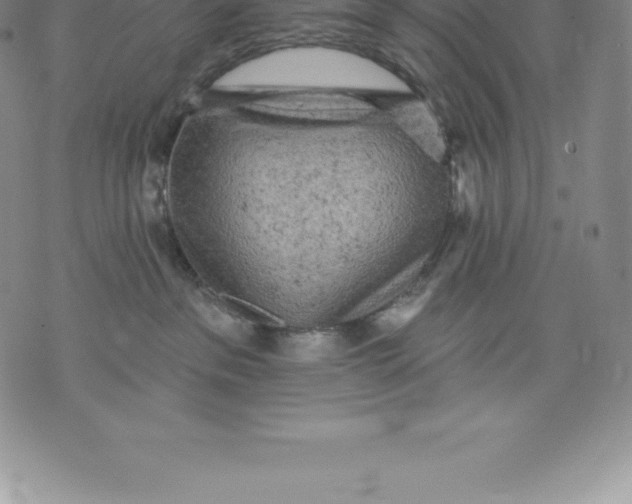 X0000076300237200610161601