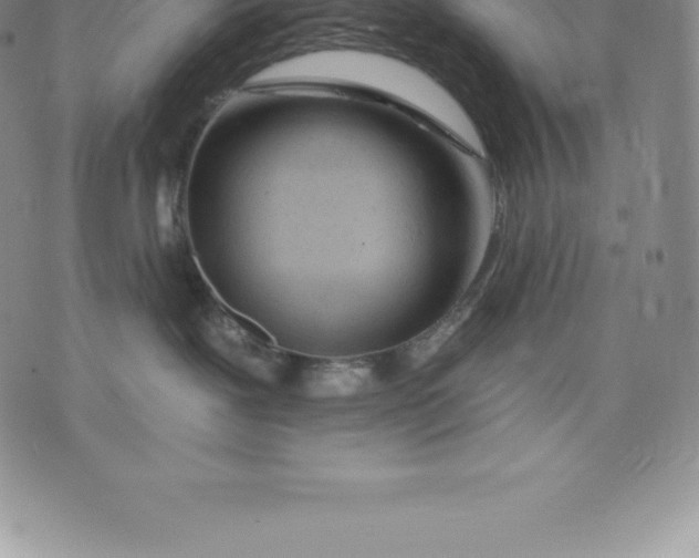 X0000076300239200610161601