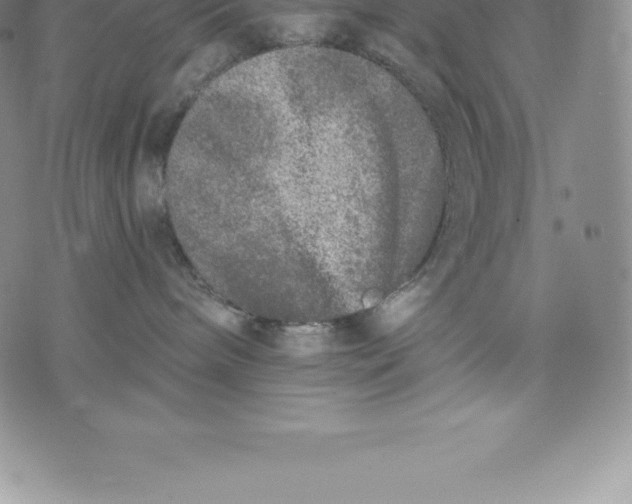 X0000076300240200610161601