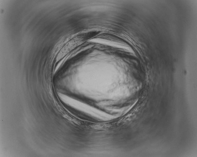 X0000076300241200610161600