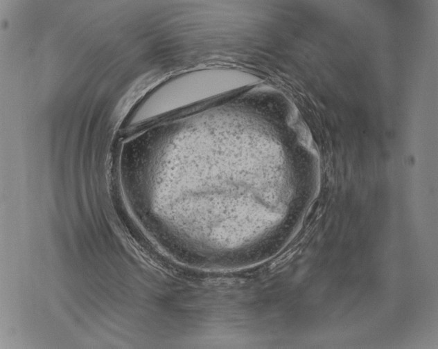 X0000076300242200610161600