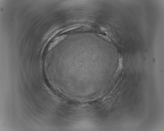 X0000076300243200610161600