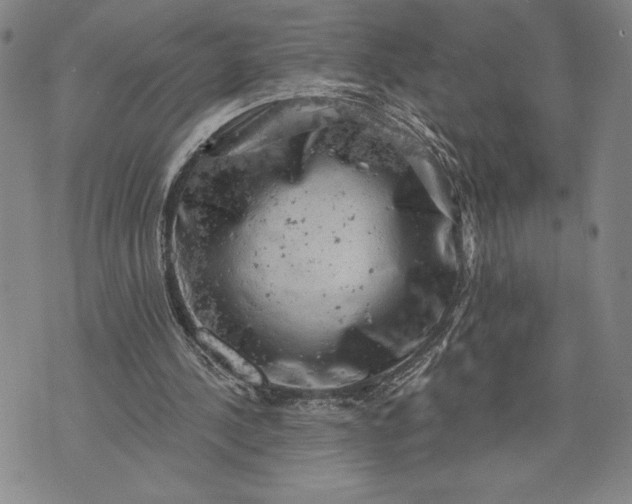 X0000076300244200610161600