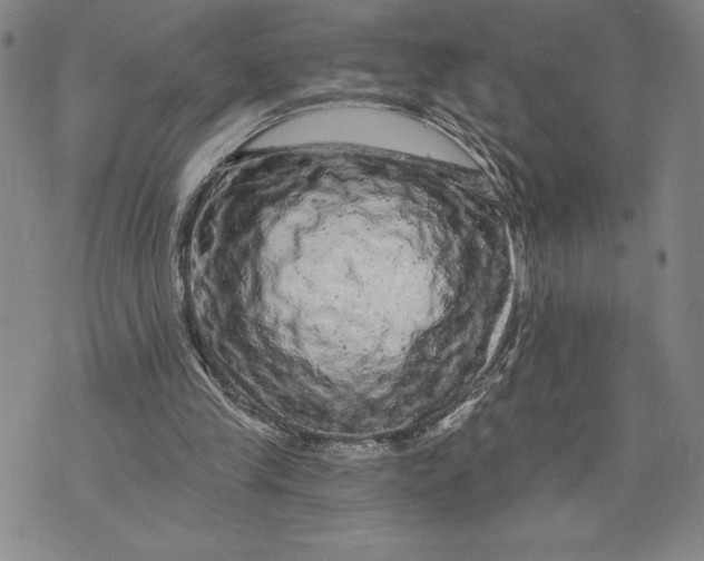 X0000076300245200610161600