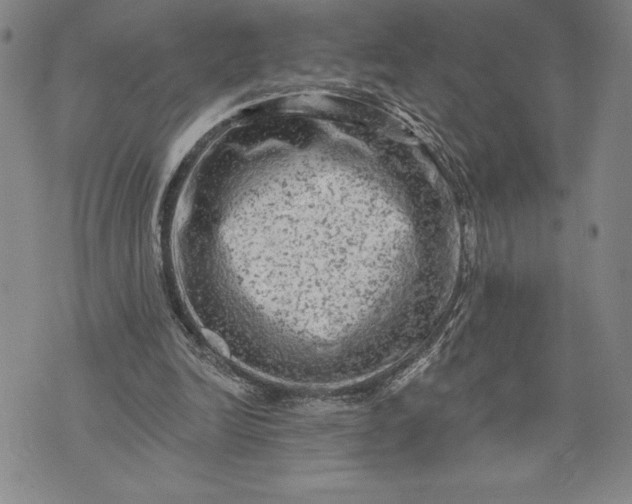 X0000076300246200610161600