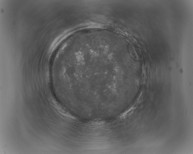 X0000076300247200610161600