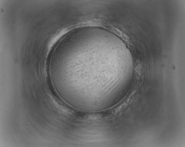 X0000076300248200610161600