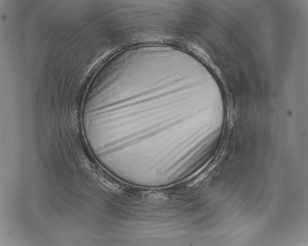 X0000076300249200610161600