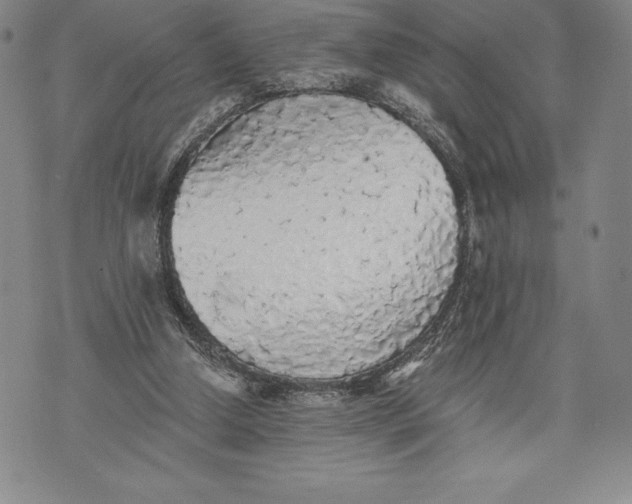 X0000076300250200610161600