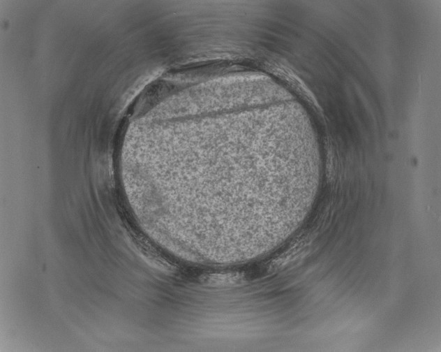 X0000076300251200610161600