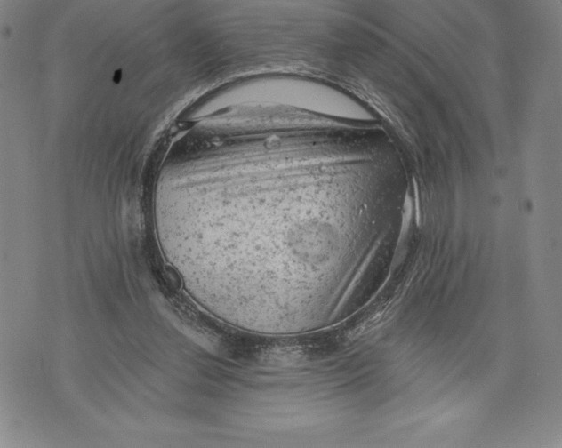 X0000076300252200610161600