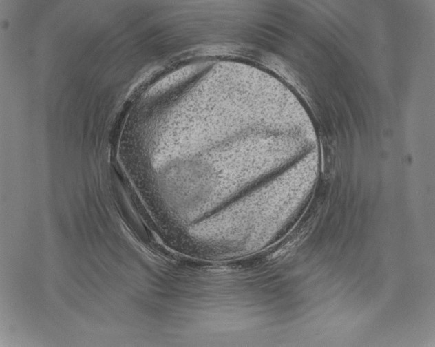 X0000076300253200610161601