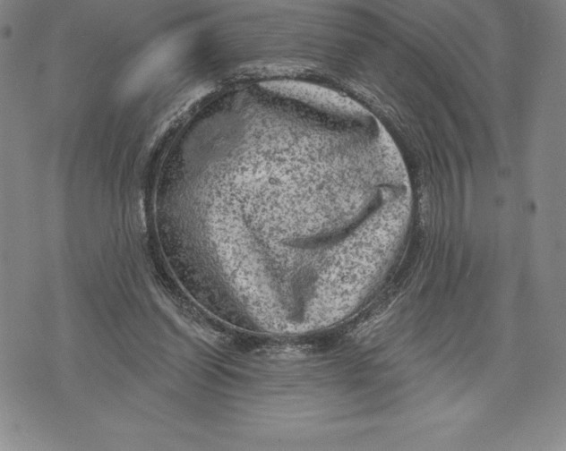 X0000076300254200610161601