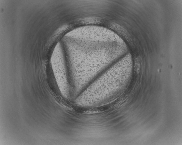 X0000076300255200610161601