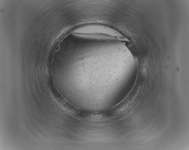 X0000076300256200610161601