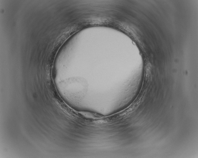 X0000076300257200610161601