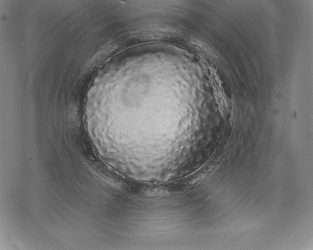 X0000076300258200610161601