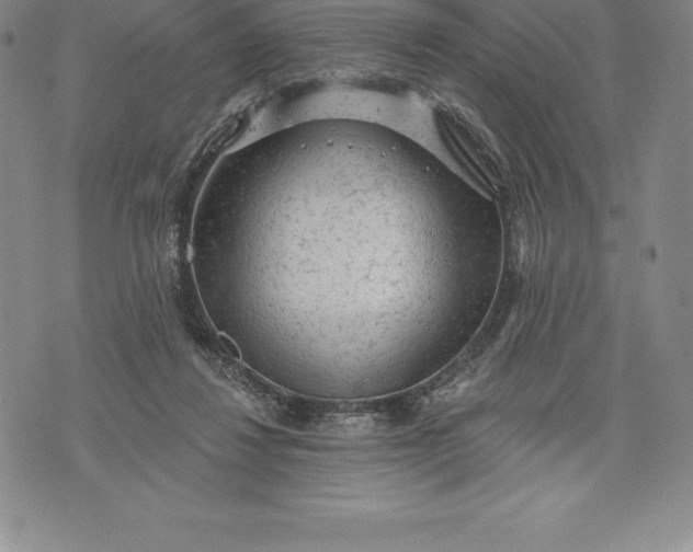 X0000076300260200610161601