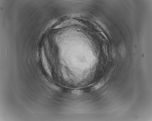 X0000076300261200610161601