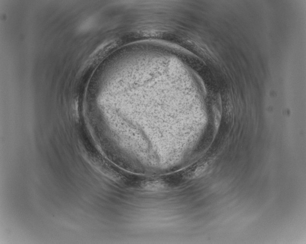 X0000076300262200610161601