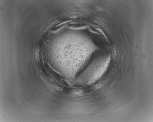 X0000076300263200610161601