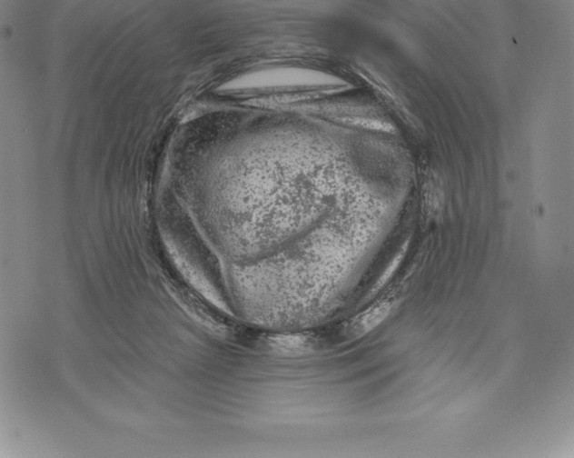 X0000076300265200610161601