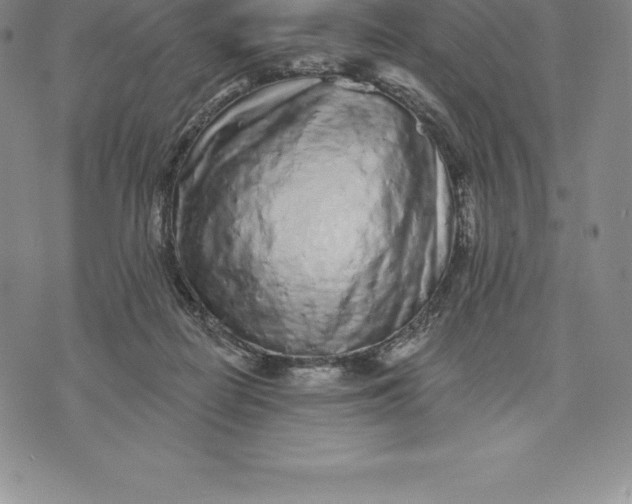 X0000076300266200610161601