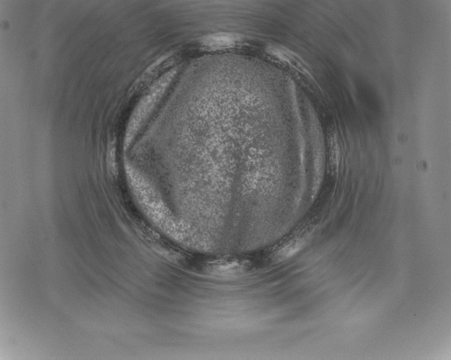 X0000076300267200610161601