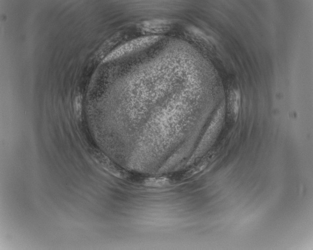 X0000076300271200610161601