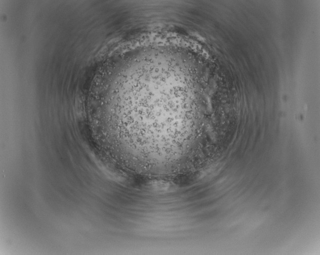 X0000076300272200610161601