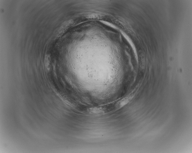 X0000076300273200610161601