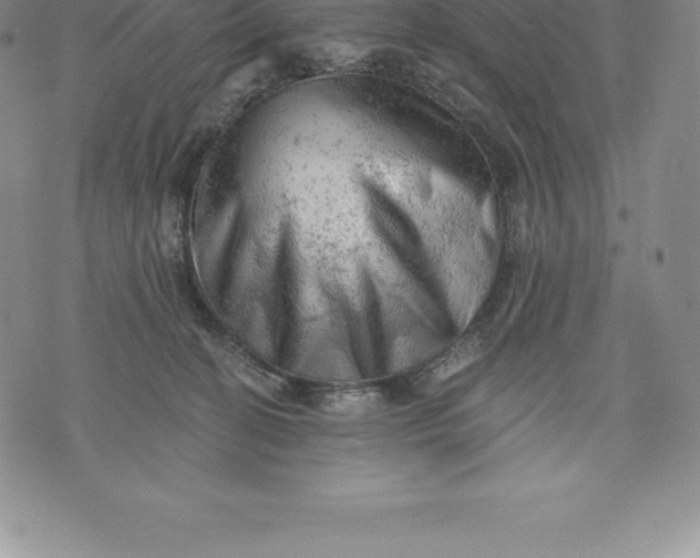 X0000076300274200610161601