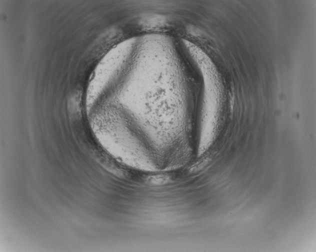 X0000076300275200610161601